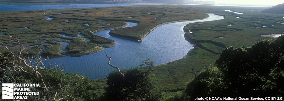 winding waterways form an coastal estuary